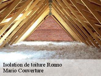 Isolation de toiture ronno-69550 Mario Couverture