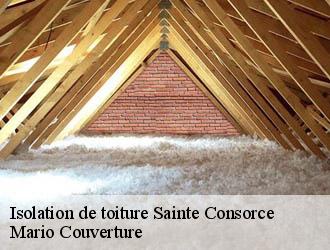 Isolation de toiture  sainte-consorce-69280 Mario Couverture 