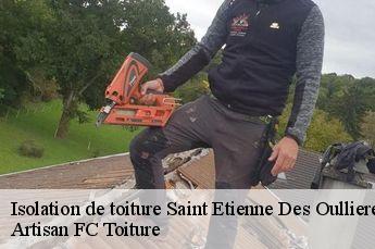 Isolation de toiture  saint-etienne-des-oullieres-69460 Artisan FC Toiture