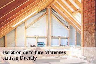 Isolation de toiture  marennes-69970 Artisan Duculty
