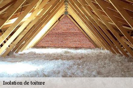 Isolation de toiture  69650