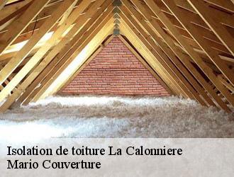 Isolation de toiture la-calonniere-69690 Mario Couverture