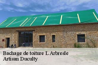 Bachage de toiture  l-arbresle-69210 Artisan Duculty