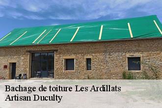 Bachage de toiture  les-ardillats-69430 Artisan Duculty