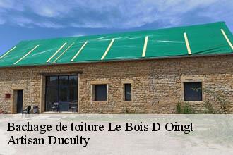 Bachage de toiture  le-bois-d-oingt-69620 Artisan Duculty