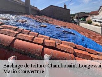 Bachage de toiture  chambosaint-longessaigne-69770 Mario Couverture 