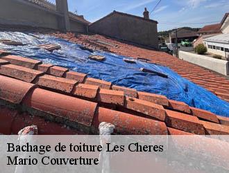 Bachage de toiture les-cheres-69380 Mario Couverture