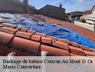 Bachage de toiture  couzon-au-mont-d-or-69270 Mario Couverture 