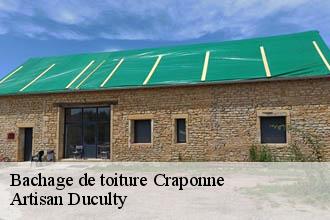 Bachage de toiture  craponne-69290 Artisan Duculty