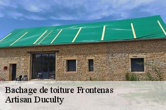 Bachage de toiture  frontenas-69620 Artisan Duculty