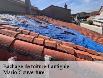 Bachage de toiture  lantignie-69430 Mario Couverture 