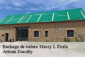 Bachage de toiture  marcy-l-etoile-69280 Artisan Duculty