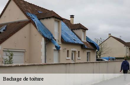 Bachage de toiture 69490