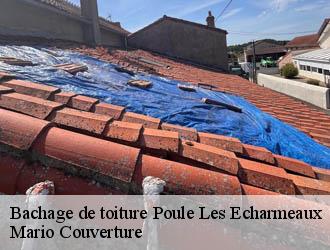 Bachage de toiture  poule-les-echarmeaux-69870 Mario Couverture 
