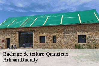 Bachage de toiture  quincieux-69650 Artisan Duculty