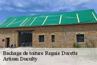 Bachage de toiture  regnie-durette-69430 Artisan Duculty