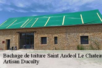 Bachage de toiture  saint-andeol-le-chateau-69700 Artisan Duculty