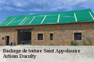 Bachage de toiture  saint-appolinaire-69170 Artisan Duculty