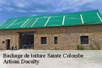 Bachage de toiture  sainte-colombe-69560 Artisan Duculty