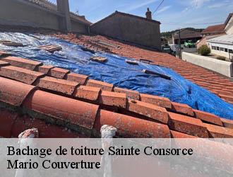 Bachage de toiture  sainte-consorce-69280 Mario Couverture 