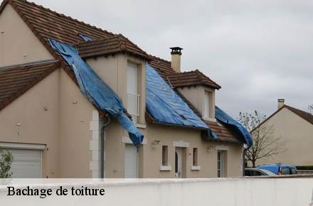 Bachage de toiture  69790