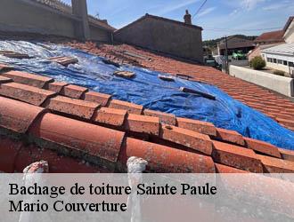Bachage de toiture sainte-paule-69620 Mario Couverture