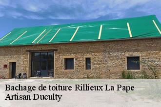 Bachage de toiture  rillieux-la-pape-69140 Artisan Duculty