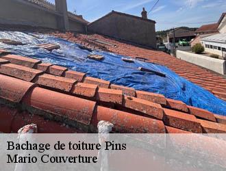 Bachage de toiture  pins-69440 Mario Couverture 