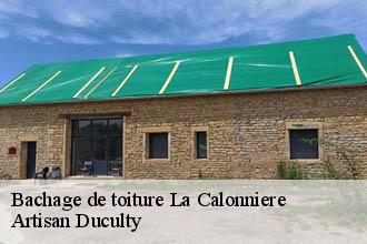 Bachage de toiture  la-calonniere-69690 Artisan Duculty