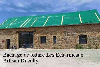 Bachage de toiture  les-echarmeaux-69870 Artisan Duculty