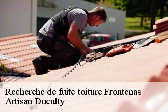 Recherche de fuite toiture  frontenas-69620 Artisan Duculty