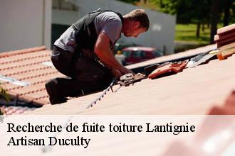 Recherche de fuite toiture  lantignie-69430 Artisan Duculty