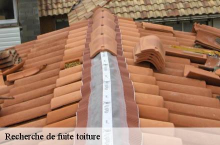 Recherche de fuite toiture  69760