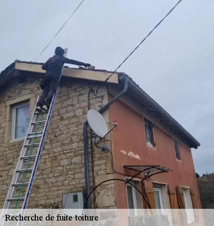 Recherche de fuite toiture  69000