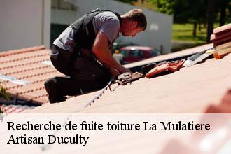 Recherche de fuite toiture  la-mulatiere-69350 Artisan Duculty