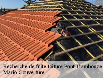 Recherche de fuite toiture  pont-trambouze-69240 Mario Couverture 