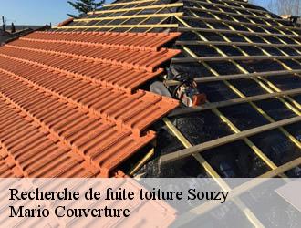Recherche de fuite toiture souzy-69610 Mario Couverture