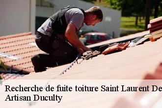 Recherche de fuite toiture  saint-laurent-de-chamousset-69930 Artisan Duculty