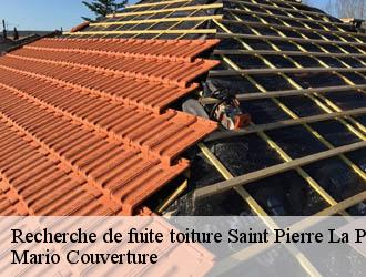 Recherche de fuite toiture saint-pierre-la-palud-69210 Mario Couverture