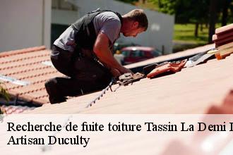 Recherche de fuite toiture  tassin-la-demi-lune-69160 Artisan FC Toiture