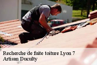 Recherche de fuite toiture  lyon-7-69007 Artisan Duculty