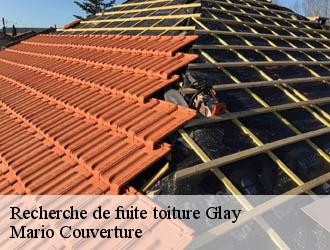 Recherche de fuite toiture  glay-69850 Mario Couverture 
