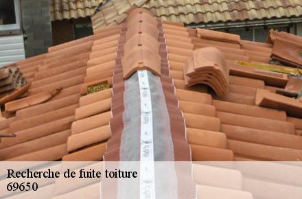 Recherche de fuite toiture  69650
