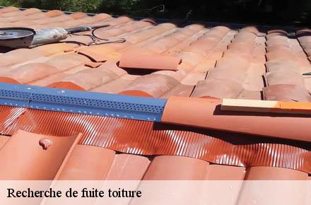 Recherche de fuite toiture  69650
