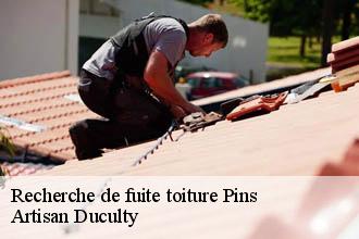 Recherche de fuite toiture  pins-69440 Artisan Duculty