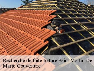 Recherche de fuite toiture  saint-martin-de-cornas-69700 Mario Couverture 